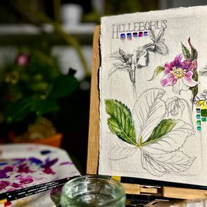 Botanical Painting Workshop with Kayliegh Smith
