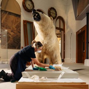 The Transformation of Hull Maritime Museum: Behind the scenes