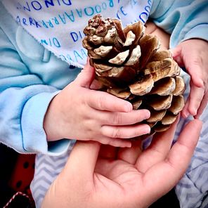 Tree Babies and Tots 