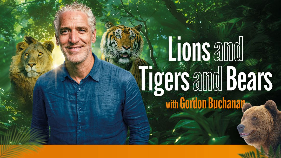 A man smiles in front of a backdrop of a jungle with a lion, a tiger and a bear.