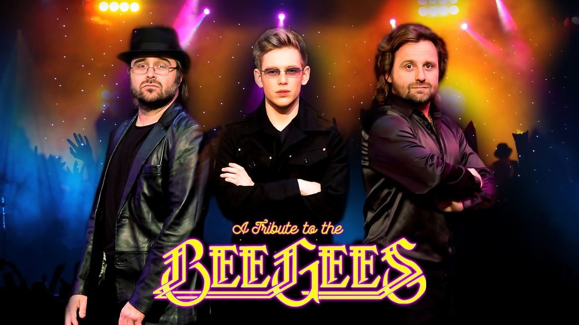 Three men dressed as the BeeGees pose together on a spotlight lit stage